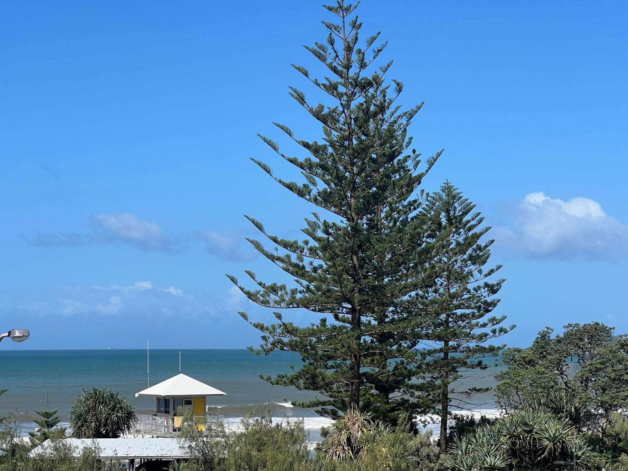 Ocean View - Alexandra Headlands Beachfront Unit Esterno foto